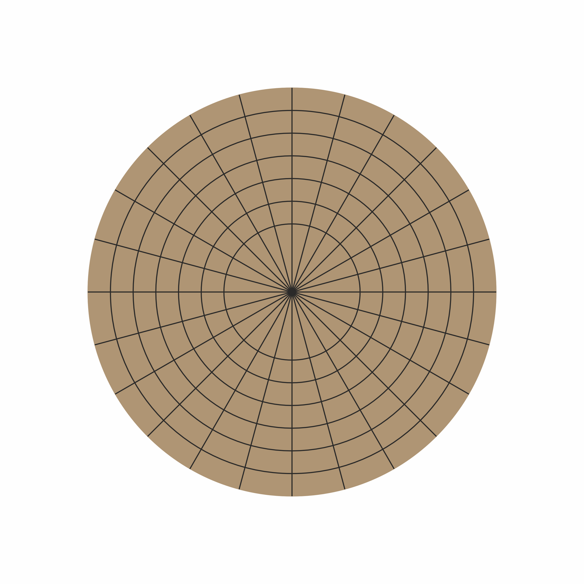 Premarked circle with 16 divide for customized lippan work